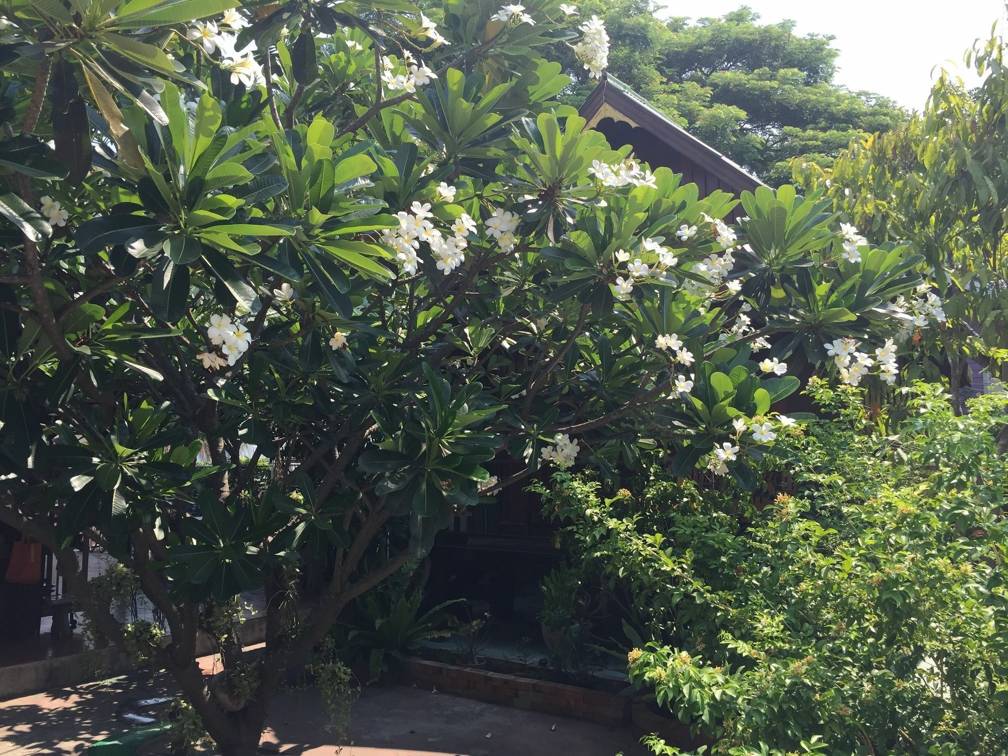 Baan Kong Homestay Phra Nakhon Si Ayutthaya Luaran gambar